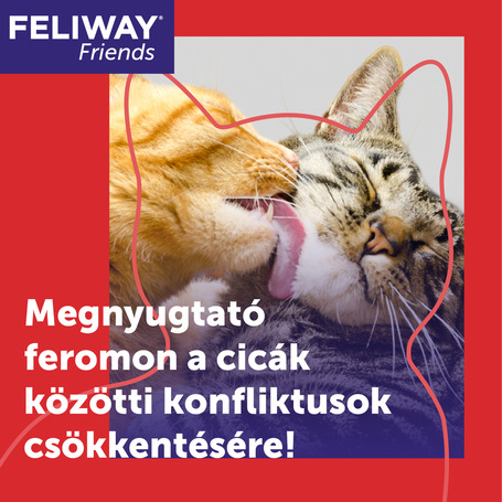 Feliway Friends nyugtató hatású párologtató macskáknak