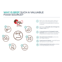 Raw Paleo Ultra Adult Mini Beef #3