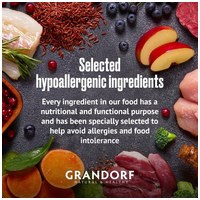 Grandorf Adult Low Grain Hypoallergenic Lamb & Turkey | Hipoallergén felnőtt kutyatáp bárányhússal és barna rizzsel #6