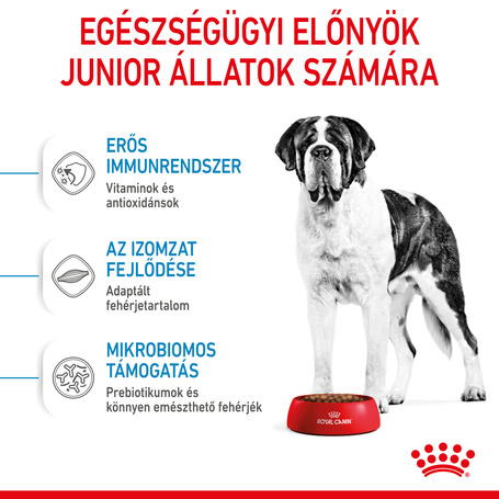 Royal Canin Giant Junior - óriás testű kölyök kutya száraz táp