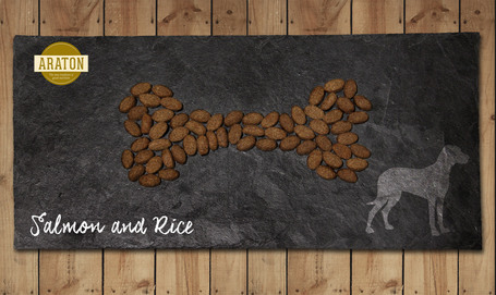 Araton Dog Adult Salmon & Rice
