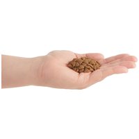 Acana Homestead Harvest baromfis macskaeledel #8