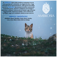 Ambrosia Cat Sterilised GF Fresh Turkey & Herring #11