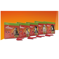 Fiprex Duo (~ Combo) rácsepegtető oldat macskáknak és vadászgörényeknek #4