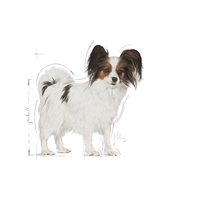 Royal Canin X-Small Adult - Nagyon kistestű felnőtt kutya száraz táp #3