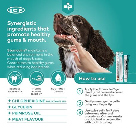 Stomodine antibakteriális szájfertőtlenítő, fogápoló gél