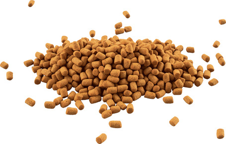 Tetra ReptoMin Energy pálcikás táp víziteknősöknek