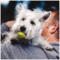 Kong Squeakair teniszlabdák #5