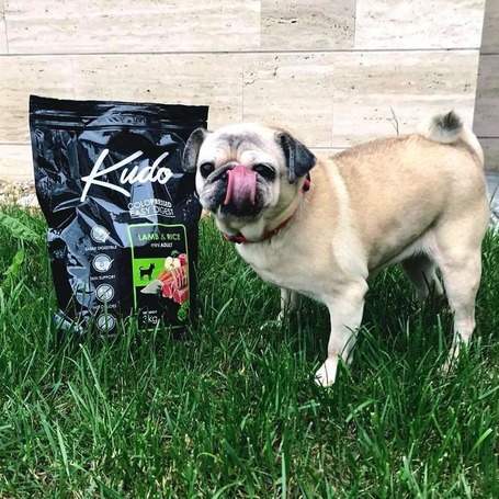 Kudo Adult Mini Lamb & Rice Low Grain