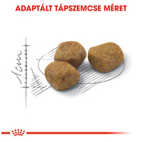 Royal Canin Indoor 7+ | Lakásban tartott idősödő macska száraz táp #2