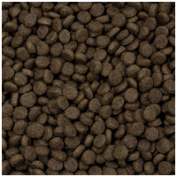 Sam's Field Light & Senior Lamb & Rice #2