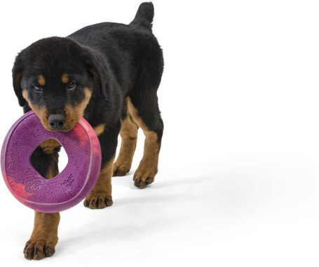 West Paw Seaflex Sailz - Károsanyag-mentes frizbi