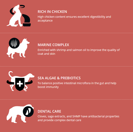 Profine Adult Small Chicken & Potatoes | Táp kistestű kutyáknak csirkehússal és burgonyával