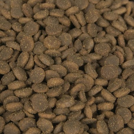 Acana Pacifica Cat & Kitten halas macskaeledel az egészséges szőrzetért és bőrért