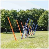 Trixie Dog Activity agility szlalom szett #2