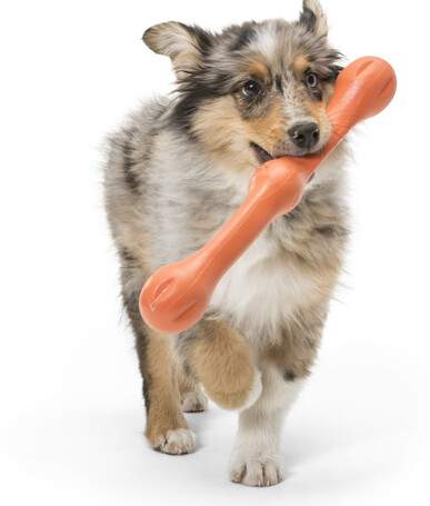 West Paw Zwig apport