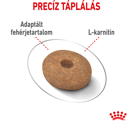 Royal Canin Mini Light Weight Care - Száraz táp hízásra hajlamos, kistestű felnőtt kutyák részére