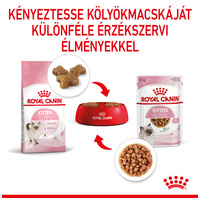 Royal Canin Kitten Gravy - Kölyök macska szószos nedves táp #4