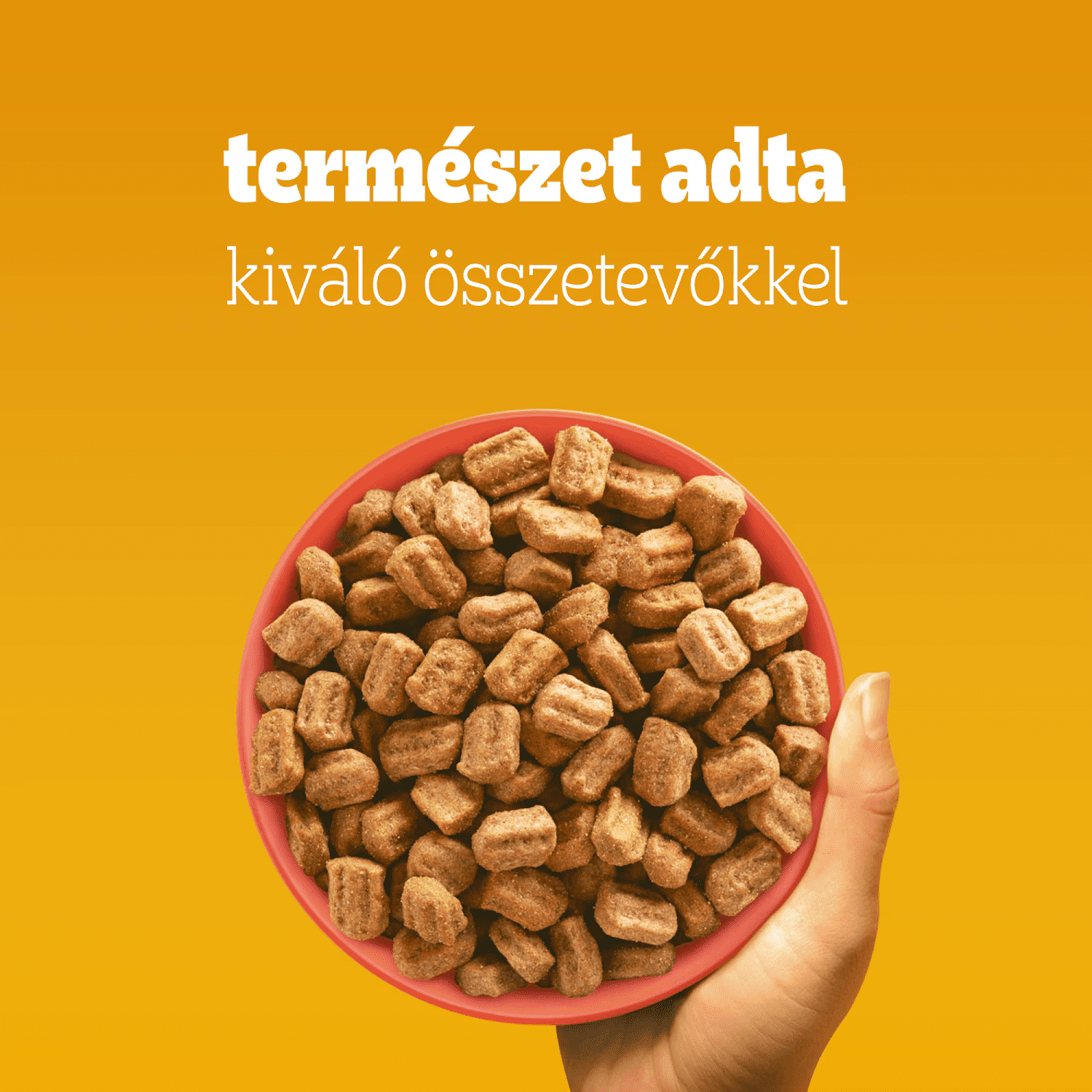 Pedigree Adult marhahúsos és zöldséges száraztáp