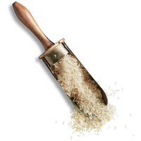 Leonardo Adult Lamb bárányhúsos és rizses szárazeledel #10