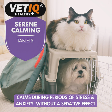 Vetiq Serene Calming Tablets nyugtató kutyáknak, macskáknak