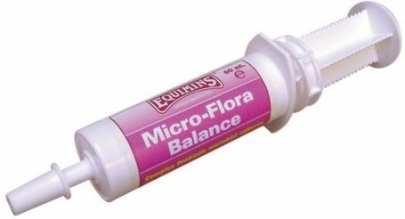 Equimins Probiotic Traveller - Koncentrált probiotikumos paszta lovaknak