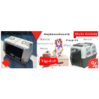 Ezeket szerezd be a nyári utazáshoz kutyádnak