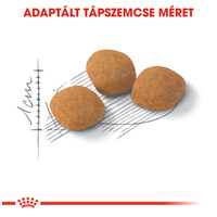 Royal Canin Protein Exigent - válogatós felnőtt macska száraz táp #2