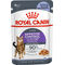 Royal Canin Appetite Control Care - Zselés nedves táp felnőtt macskák részére az étvágy szabályozásának segítésére