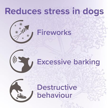 Beaphar No Stress / Calming Spot On kutyáknak