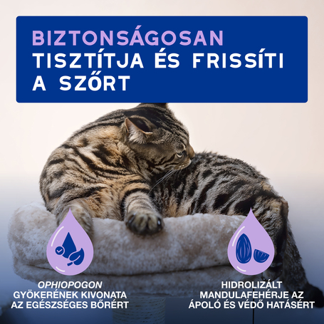 Douxo Spa lemosást nem igénylő hab macskáknak