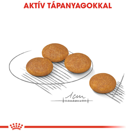 Royal Canin Mini Dermacomfort - Száraz táp bőrirritációra hajlamos, kistestű felnőtt kutyák részére