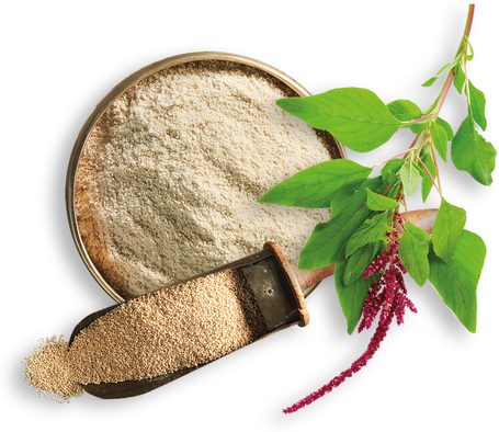 Leonardo Adult Grain-Free baromfihúsban gazdag száraztáp