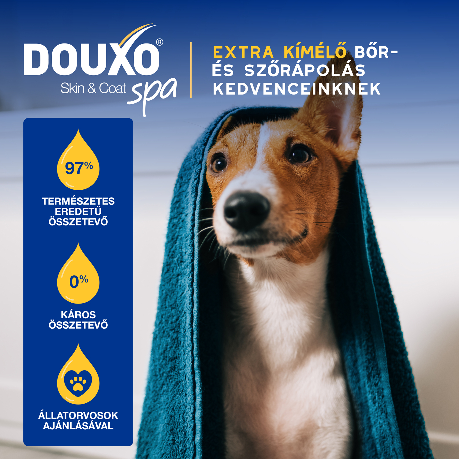 Douxo Spa balsam pentru câini - zoom