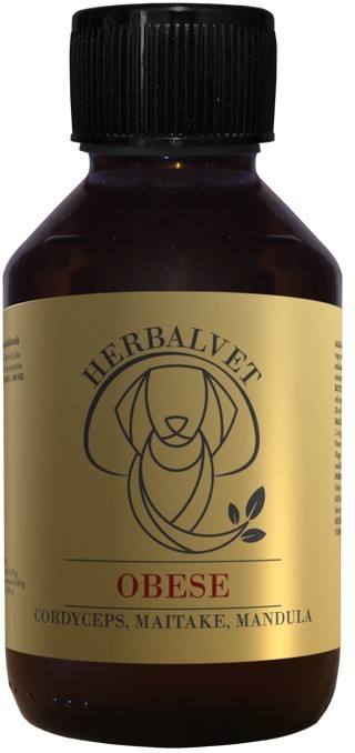 HerbalVet Obese Bio extract de ciuperci medicinale