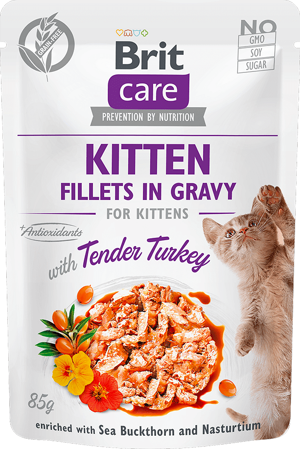 Brit Care Cat Kitten file de curcan în sos 85 g