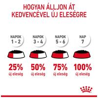 Royal Canin Digestive Care - Szószos nedves táp érzékeny emészétésű felnőtt macskák részére #7