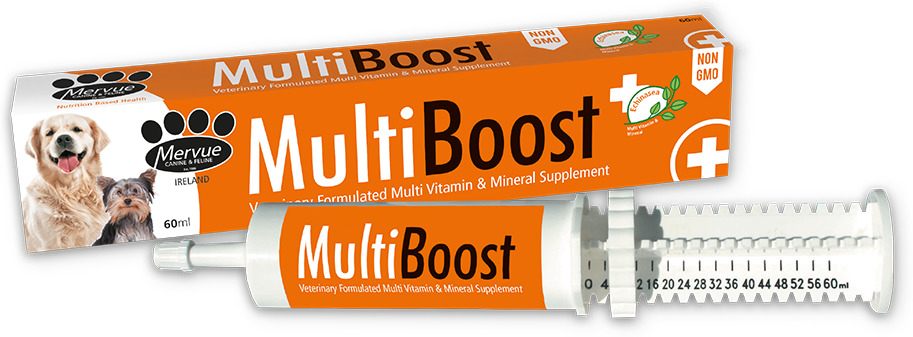 Mervue MultiBoost Dog pastă