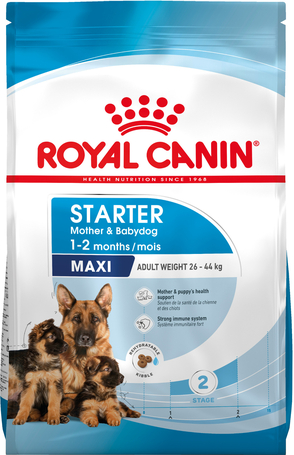 Royal Canin Maxi Starter -  Száraz táp nagy testű vemhes szuka és kölyök kutya részére 2 hónapos korig