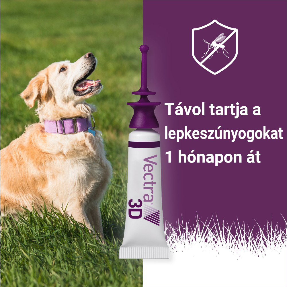 Vectra 3D repellens spot on kutyáknak