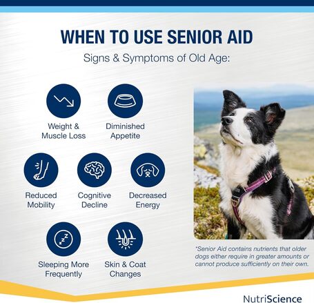 NutriScience Senior Aid Multivitamin oldat
