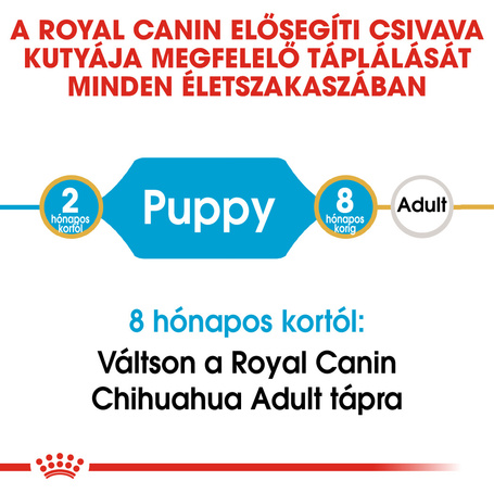 Royal Canin Chihuahua Junior - Csivava kölyök kutya száraz táp