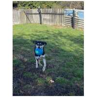 Stacy, 6 éves leányka #6