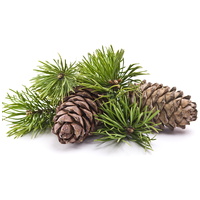 Biogance Odour Control szagsemlegesítő sampon kutyáknak rozmaring és fenyő kivonattal #6