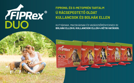 Fiprex Duo (~ Combo) rácsepegtető oldat macskáknak és vadászgörényeknek
