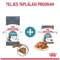 Royal Canin Hairball Care - Szószos nedves táp felnőtt macskák részére a szőrlabdák könnyebb eltávozásáért #8