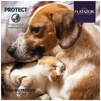 Pro-Nutrition Protect Sterilised #6
