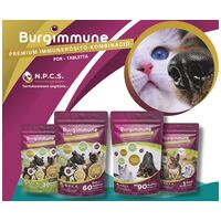 A Burgimmune immunerősítő összetevői és hatásmechanizmusuk
