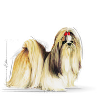 Royal Canin Shih Tzu Adult - Shih Tzu felnőtt kutya száraz táp #9