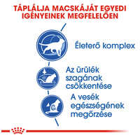 Royal Canin Indoor 7+ | Lakásban tartott idősödő macska száraz táp #3